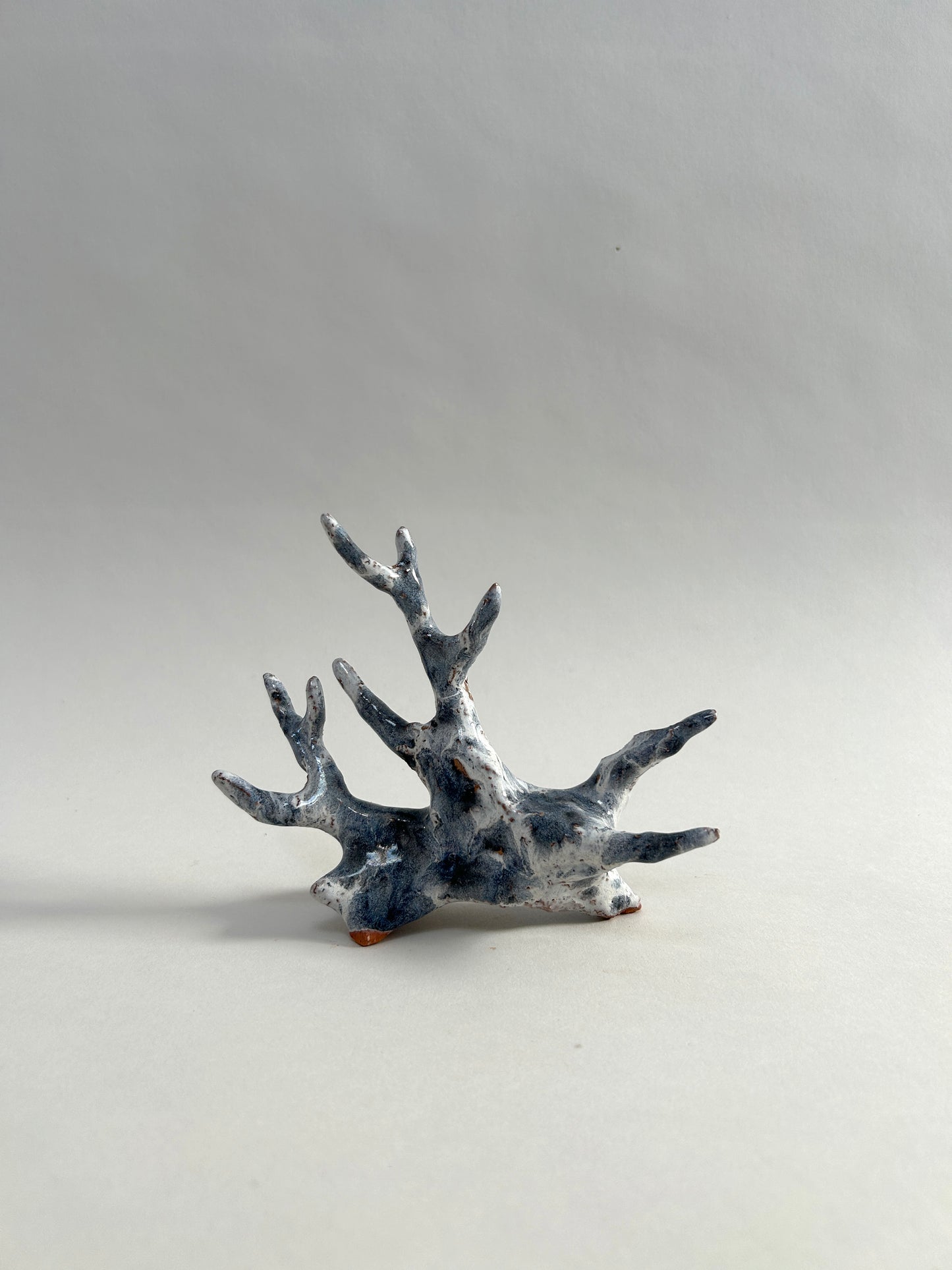 Root Form 2