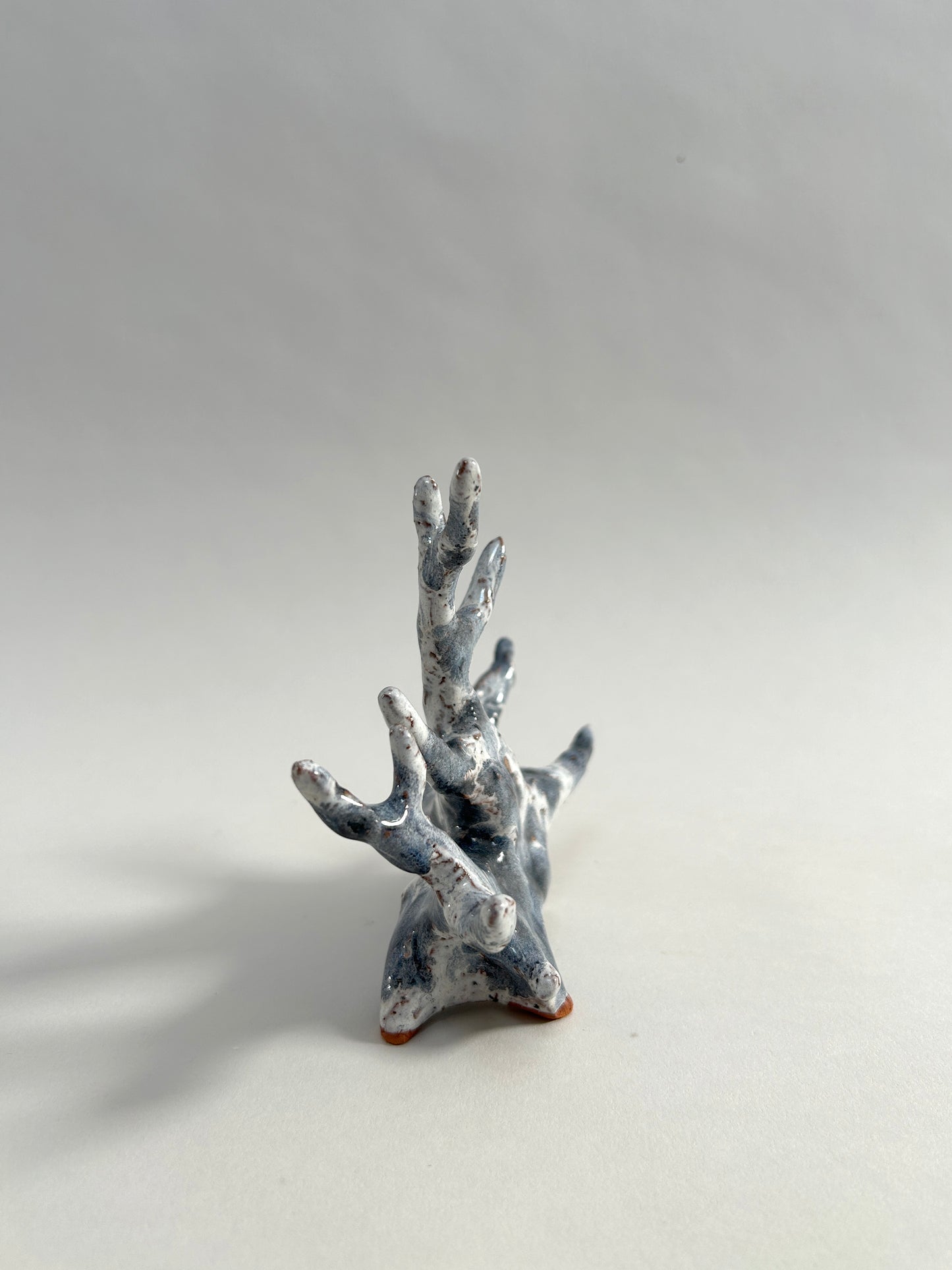 Root Form 2